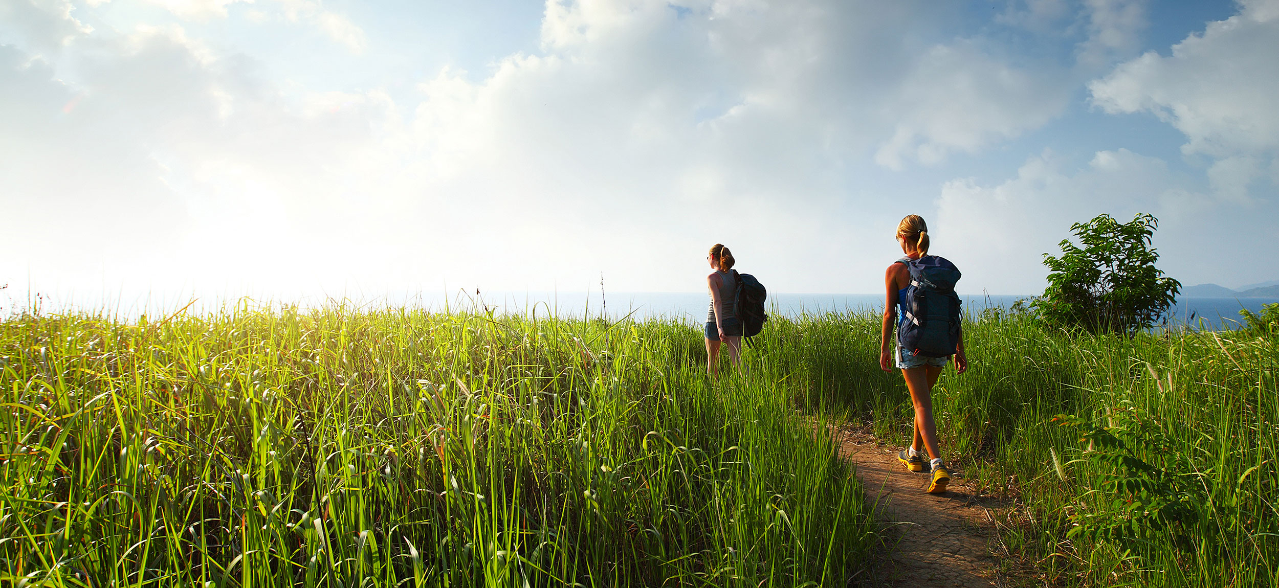 Wandern im Bayerischen Wald